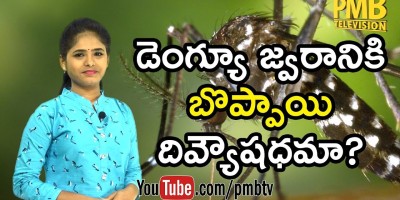 How to Use Papaya Leaves to Fight Dengue